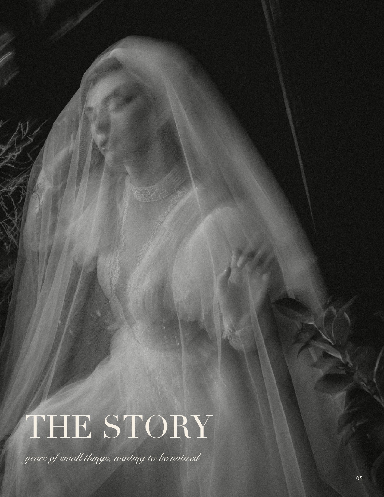 The Story — Story